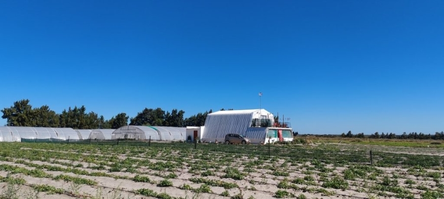 3 Bedroom Property for Sale in Hopefield Rural Western Cape